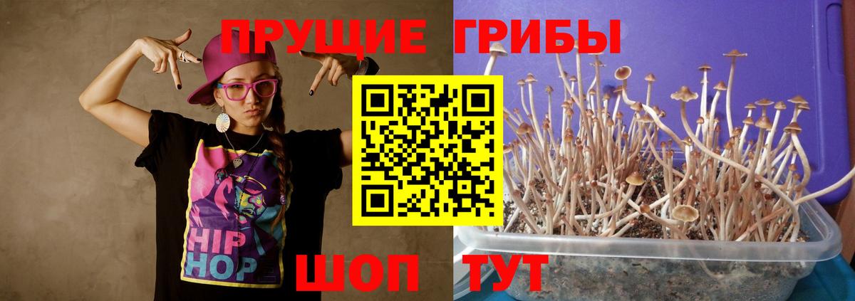 Псилоцибиновые грибы GOLDEN TEACHER Ейск